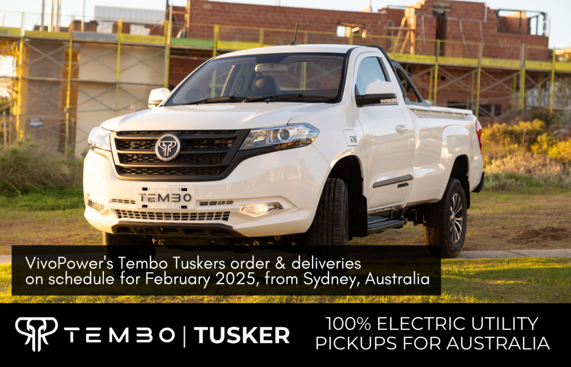 Tembo - Tusker - Deliveries 1